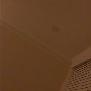 Meet your Posher, Hailey